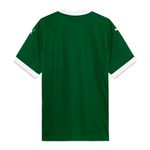 Puma-Camisa-782426-01-M-PALMEIRAS-2025-Power-Green-Poliester5.jpg