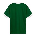 Puma-Camisa-782426-01-M-PALMEIRAS-2025-Power-Green-Poliester5.jpg