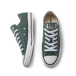 All-Star-Tenis-CT04200083-Verde-NaturalPretoBranco-Lona--1-