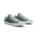 All-Star-Tenis-CT04200083-Verde-NaturalPretoBranco-Lona--6-